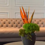 Hotel Vizualiza By Hmg