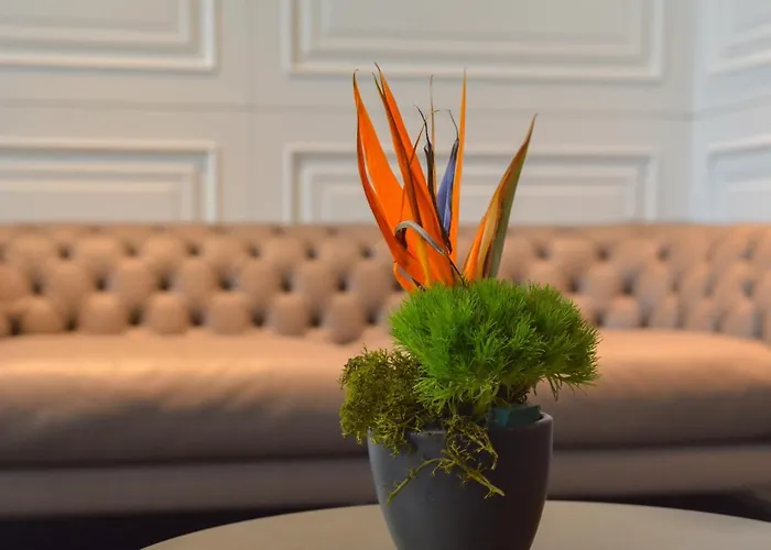 Hotel Vizualiza By Hmg